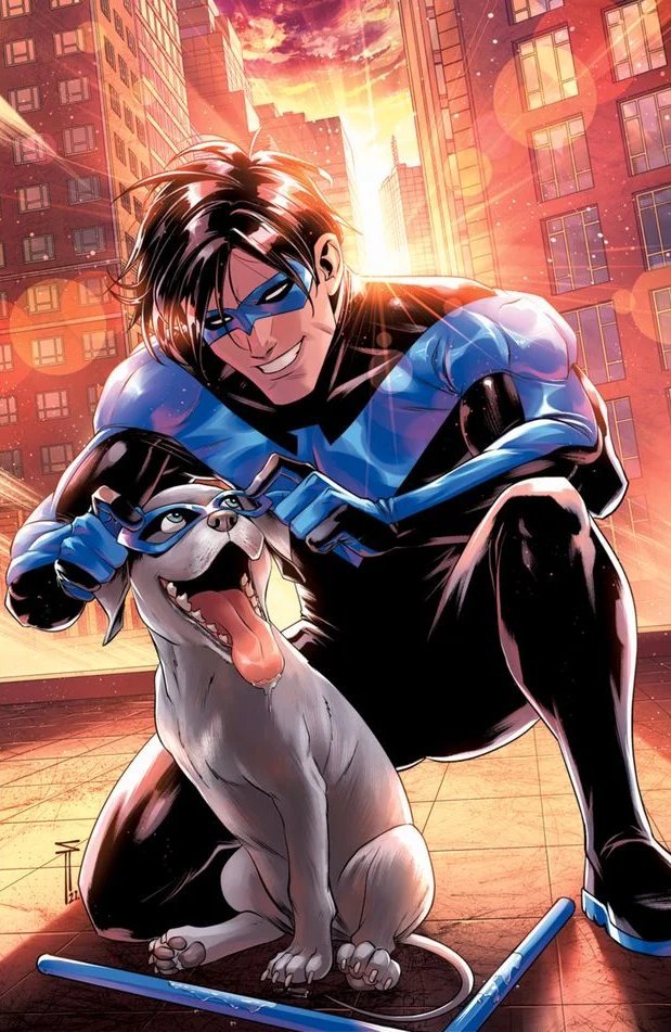 SergAcuna's tweet photo. I did my first variant cover for Nightwing on Nightwing 91! And is still one of my favorites ❤️

#nightwing #bitewing #TeenTitans #justiceleague #dccomics https://t.co/SzPuE3C7kX
