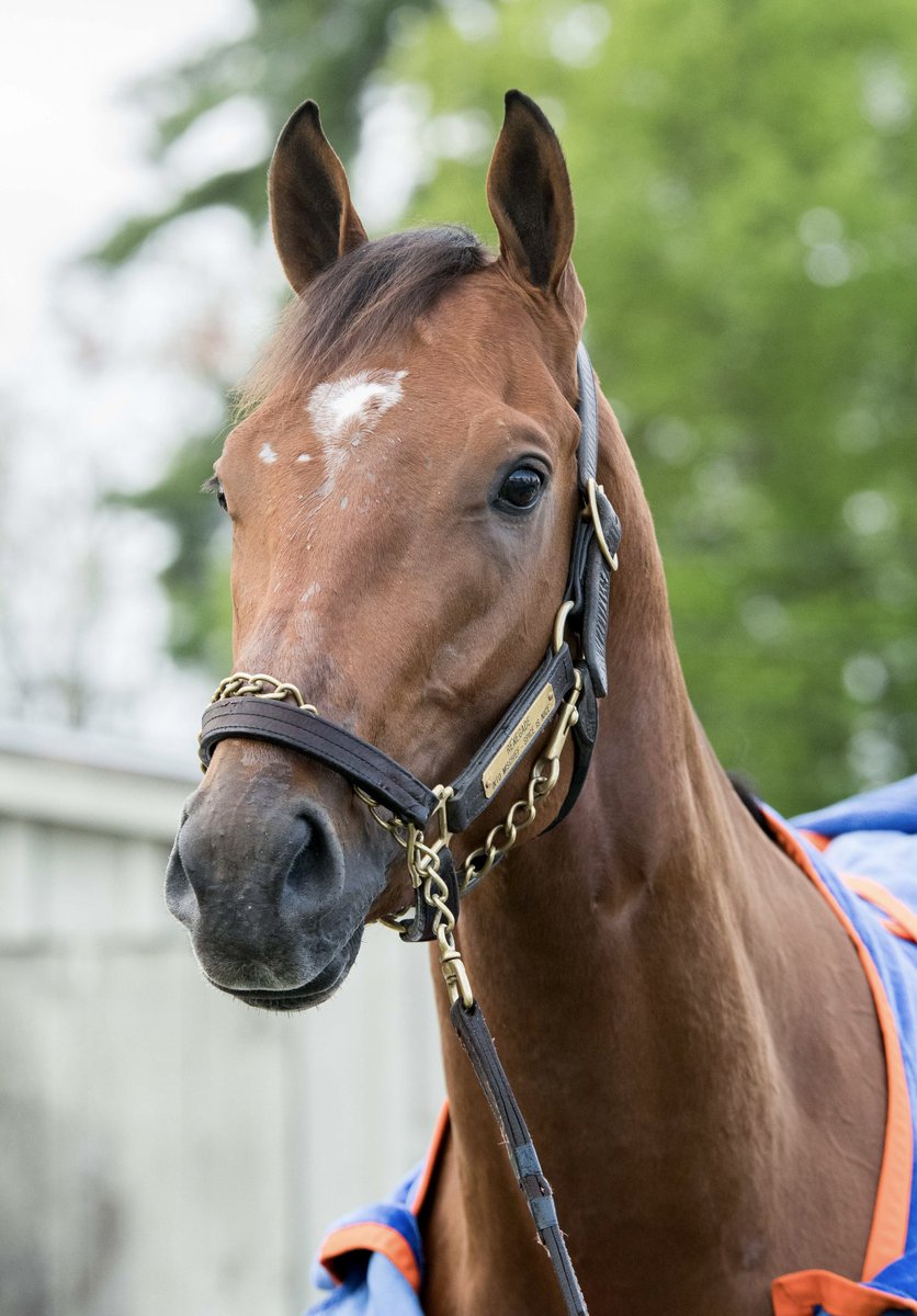Mary Eddy🏇🏼 tweet media