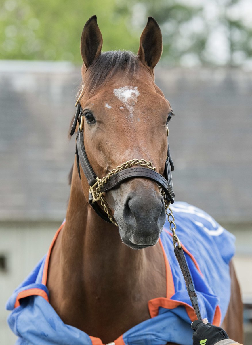 Mary Eddy🏇🏼 tweet media