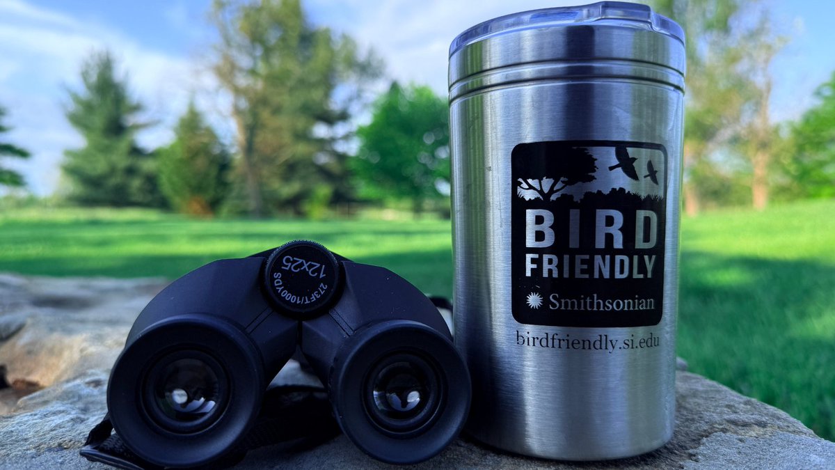 Smithsonian Migratory Bird Center tweet media
