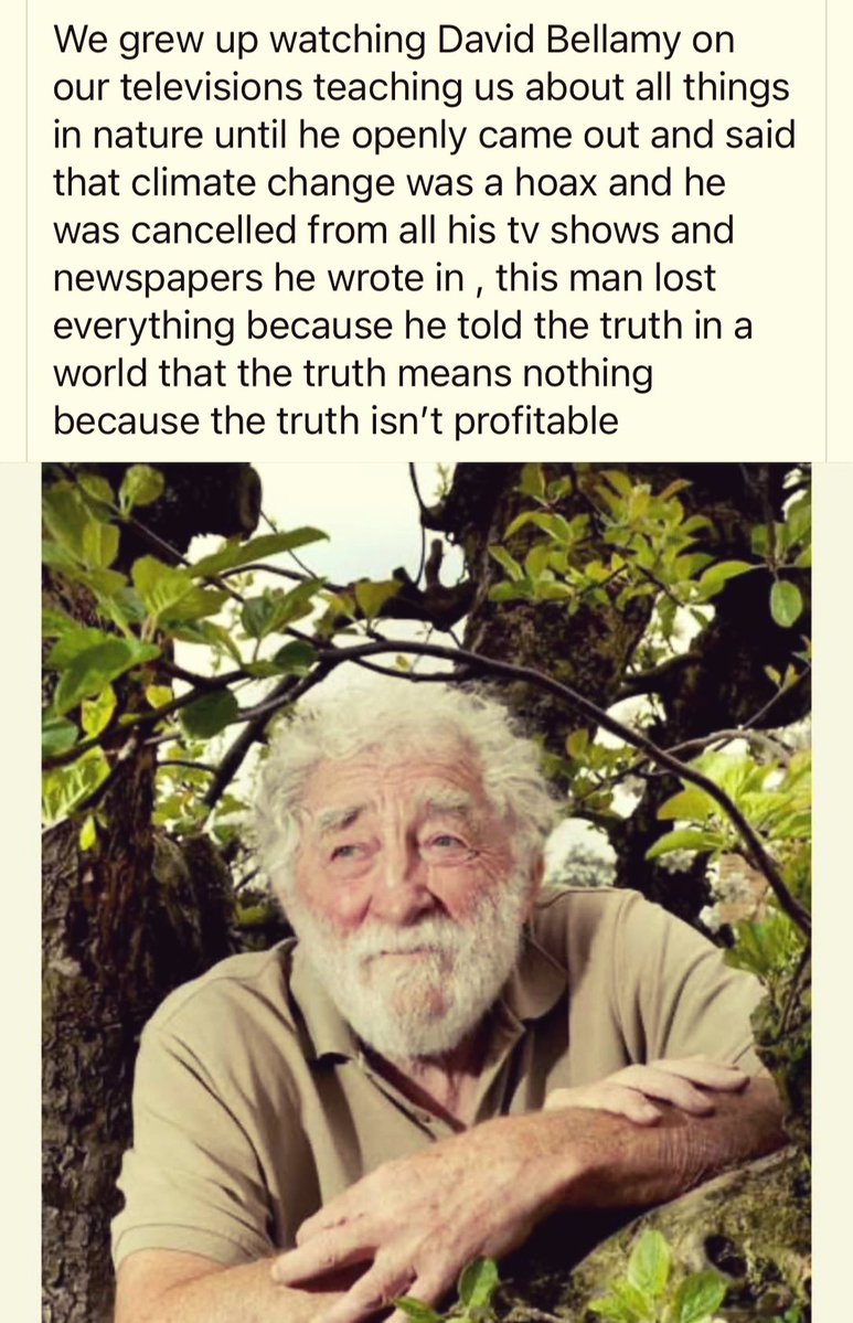 Satan's Avocado 4 tweet media