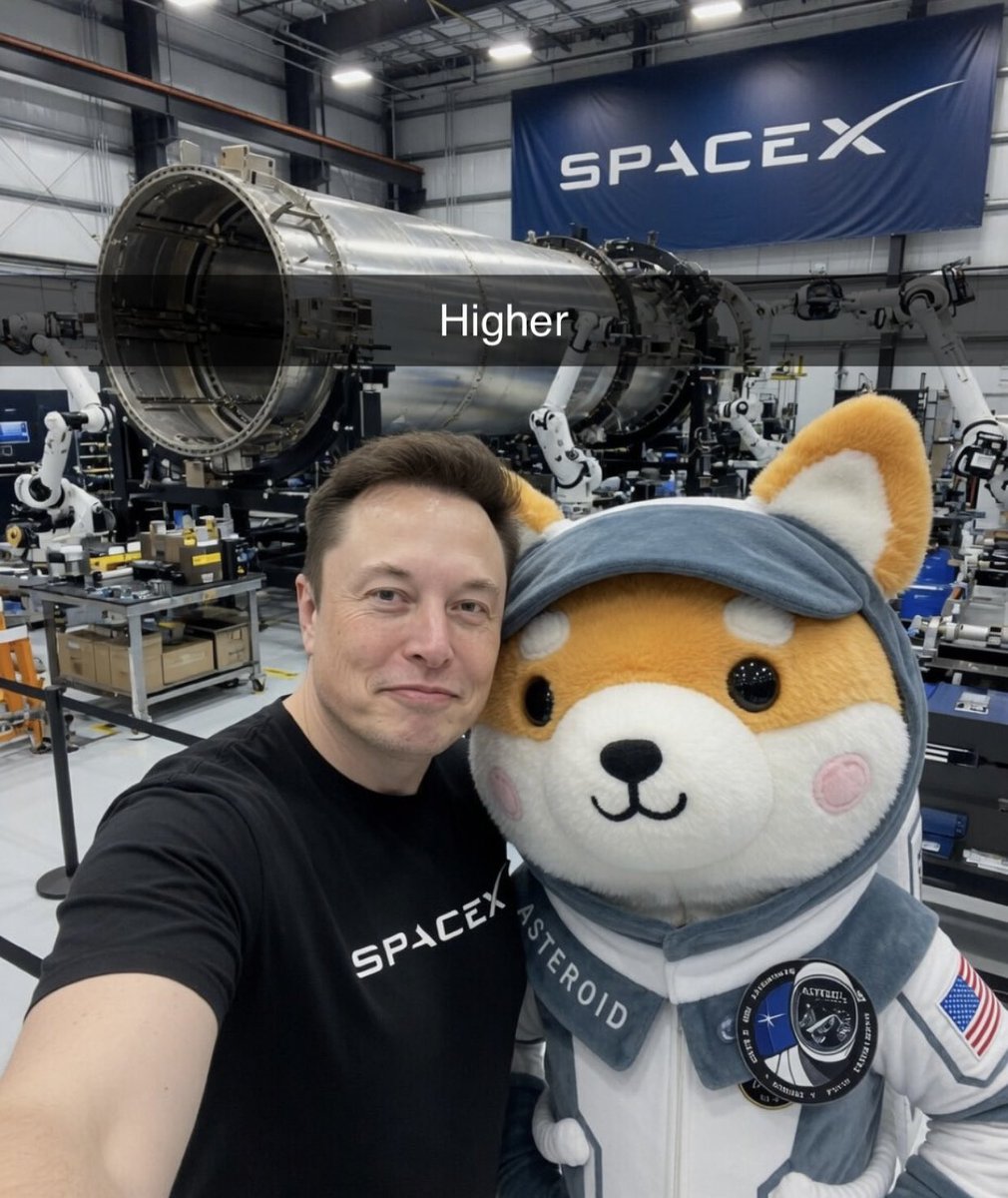 Asteroid ☄️🌕🐕 tweet media