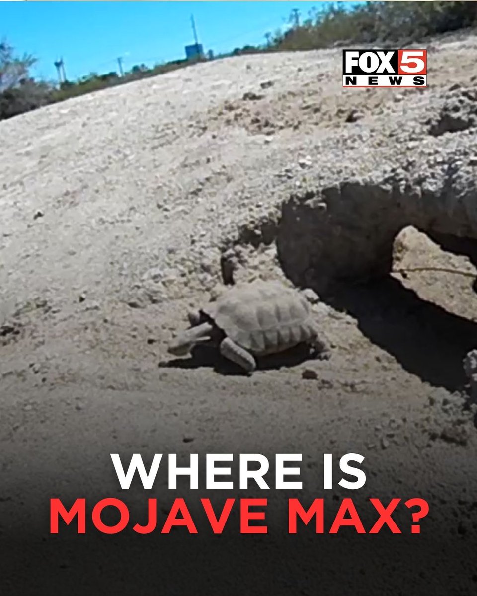 FOX5 Las Vegas tweet media