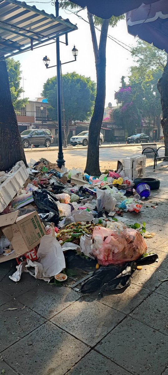 conCiencia Ciudadana México tweet media