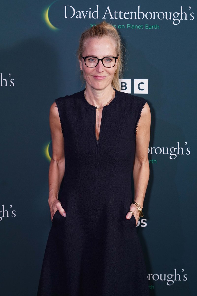 Gillian Anderson Archive tweet media