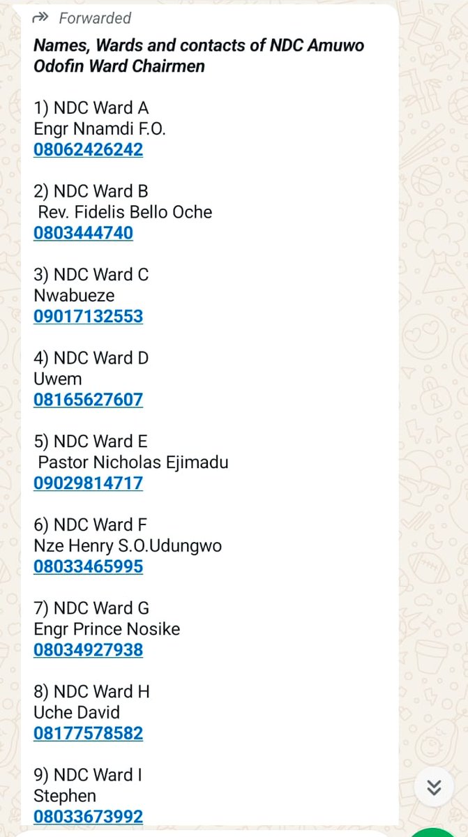 NDC ward chairmen in Omuwo Odofin in Lagos state..