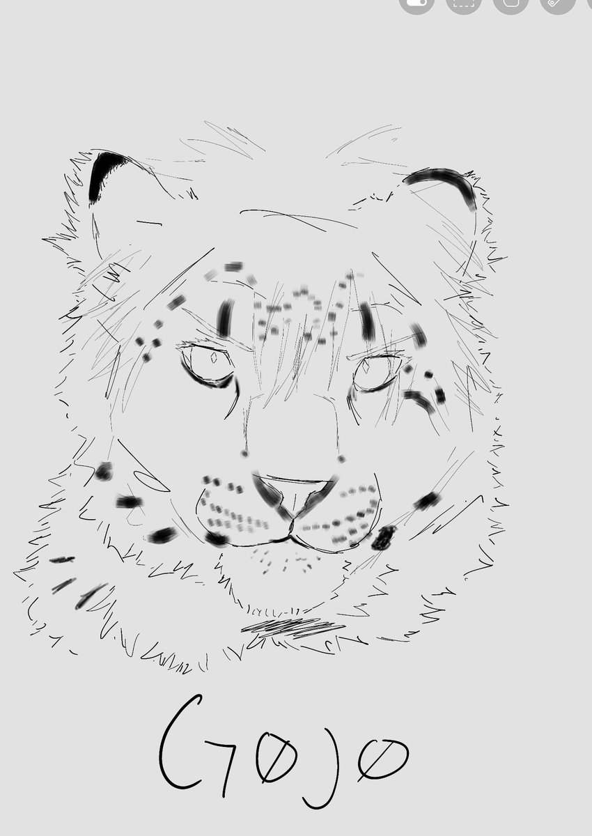 ccoughsblood's tweet photo. woaw  snow  leopard gojo https://t.co/IHsFOICf4e