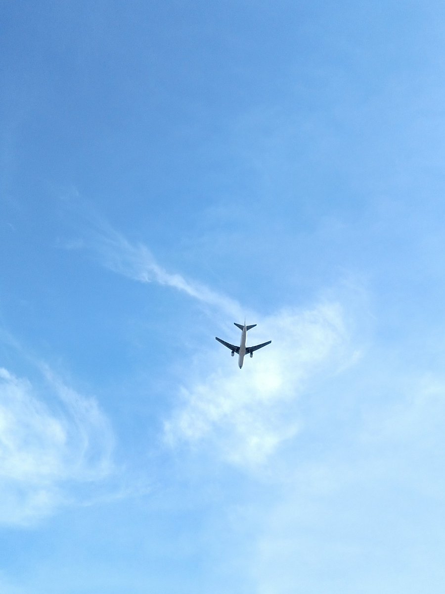 hohden's tweet photo. おは〜🛫 https://t.co/wBzJifeQrP