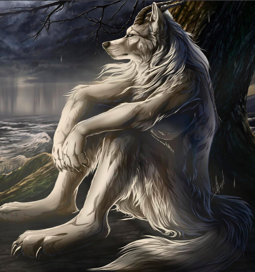 Igrys7's tweet photo. @nellyeeee @TheParagonGrp thank you nelly! the wolves are hungry https://t.co/7xi2072KJJ