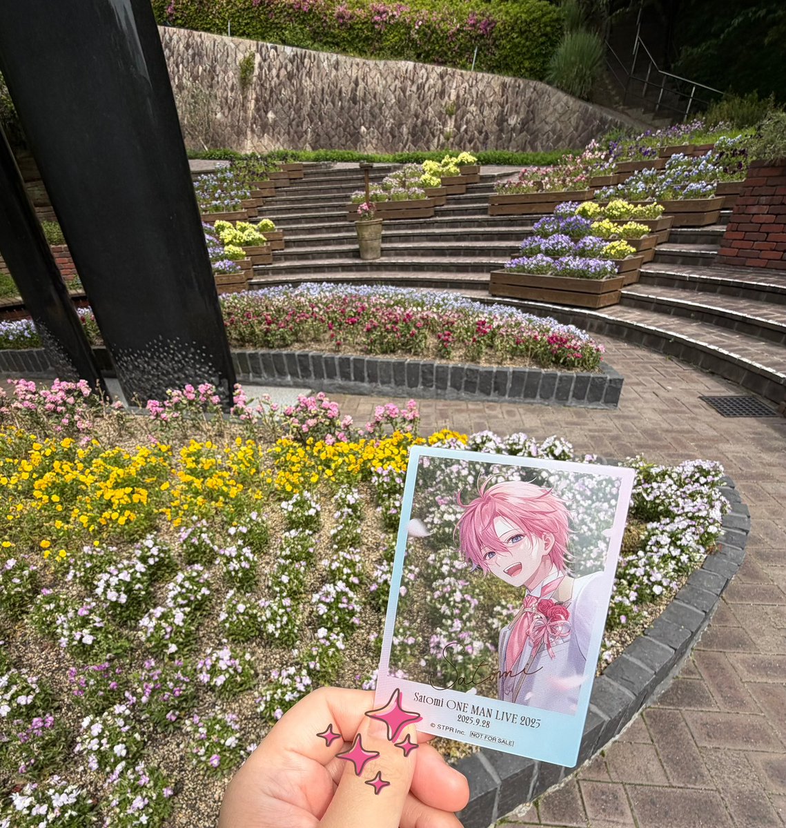 さとみくん、おはようございます。 昨日はたくさんアーカイブ公開