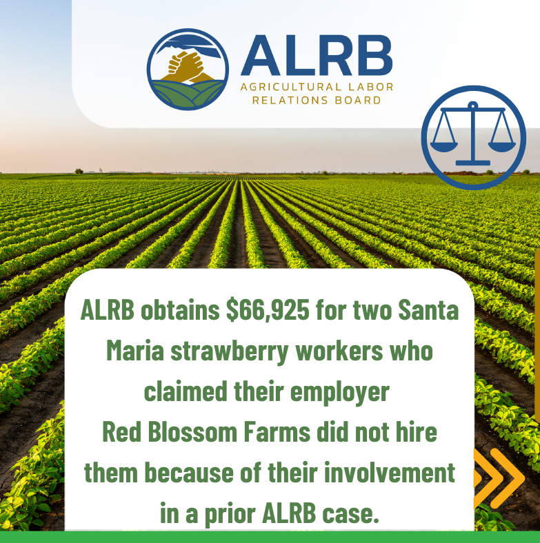 alrb_ca's tweet photo. 📰 ️¡ Success Case!

The ALRB obtained $66,925 for two Santa Maria strawberry workers as part of a settlement of an unfair labor practice complaint alleging that Red Blossom Farms, Inc. refused to rehire the workers because they participated in a prior ALRB case against the company.

This decision reaffirms the ALRB’s commitment to upholding the Agricultural Labor Relations Act (ALRA) to ensure workers have the right to advocate for better conditions without retaliation. 📷

If you have questions or need assistance, call us at 📞1 (800) 449-3699 or visit one of our offices in Salinas, Santa Maria, Oxnard, Visalia, Santa Rosa and Indio. 🏢

🔗News Article about this case here: https://t.co/mUrlng3Qkb

#ALRB #FarmworkerRights #JusticeForWorkers #LaborRights #AgriculturalWorkers