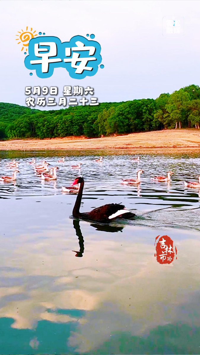 Images of Jilin City 映像吉林市 tweet media