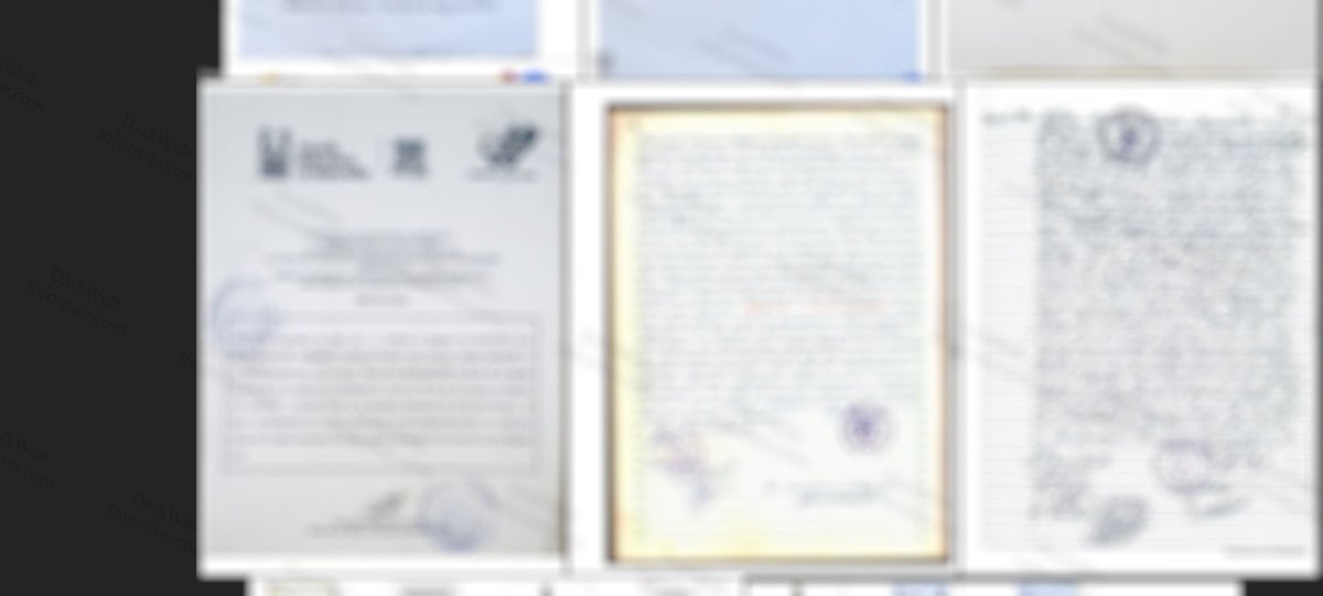 Dark Web Informer tweet media