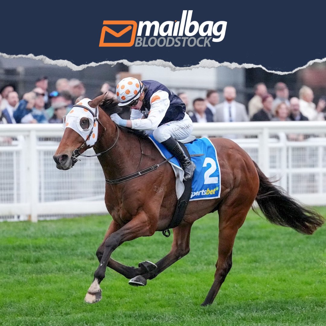 Mailbag Bloodstock tweet media