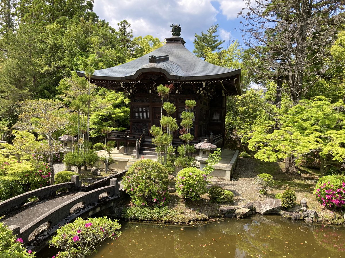2PmUS7GB9iY0CI6's tweet photo. 京都市右京区 #嵐山 エリア
🔸#清涼寺
創建は1016年、本尊はインド、中国、
日本と三国を伝来した国宝の釈迦像✨
霊宝館では国宝の阿弥陀像などを拝観、
本堂や多宝塔、仁王門、弁天堂や
庭園など見どころが多い寺院で
所要時間は🕰️約1時間でした🚶
#お寺めぐり https://t.co/gKQNvR0LbU