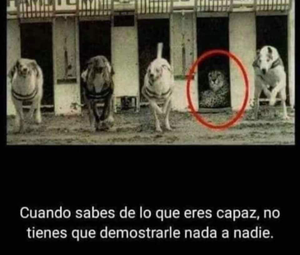ya va a llegar el turno de argentina solo esperen
