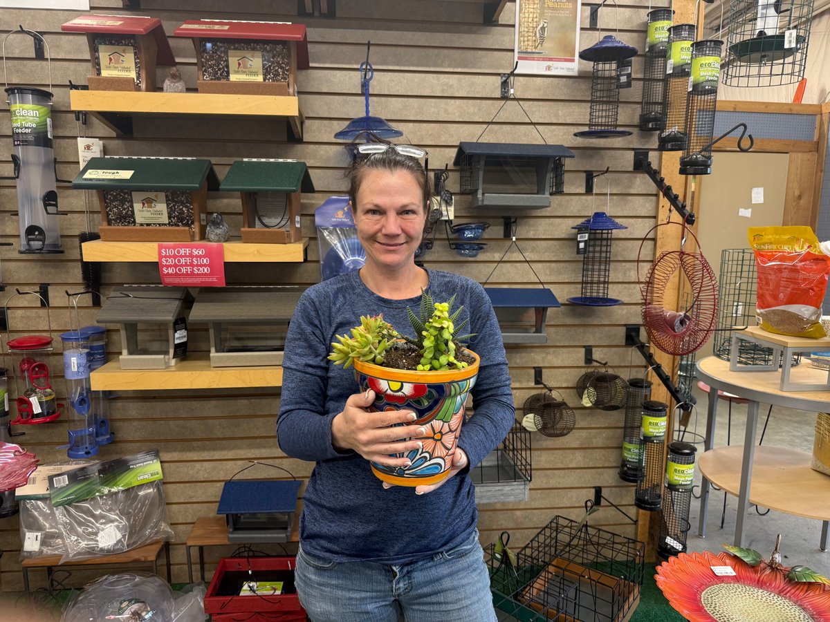 SmithsGTown's tweet photo. A huge THANK YOU to everyone who came out to our Cinco De Mayo event this week! 🌮🌸 What a blast we had with y’all and we loved seeing the garden center packed with smiling faces!
Also, congratulations to our raffle winner, Keri Wachter! 🎉 She took home a beautiful succulent arrangement in a terracotta pot 🌵🪴
And guess what… we’re not done yet 👀 We’ve got MORE events coming up throughout the rest of the month!

🌿 May 15th • Tea Garden & Tasting Class
🎨 May 17th • Spring Pot Painting Workshop
🐝 May 23rd • Native Bee Class
🌱 May 30th • Mini Herb Garden Workshop
💧 May 31st • FREE Drip Irrigation Class

We can’t wait to keep the fun going with all of you this month! Stay tuned for more details on each event ☀️
You can sign up for any of these classes now at https://t.co/6gYtucWzJR 🌿