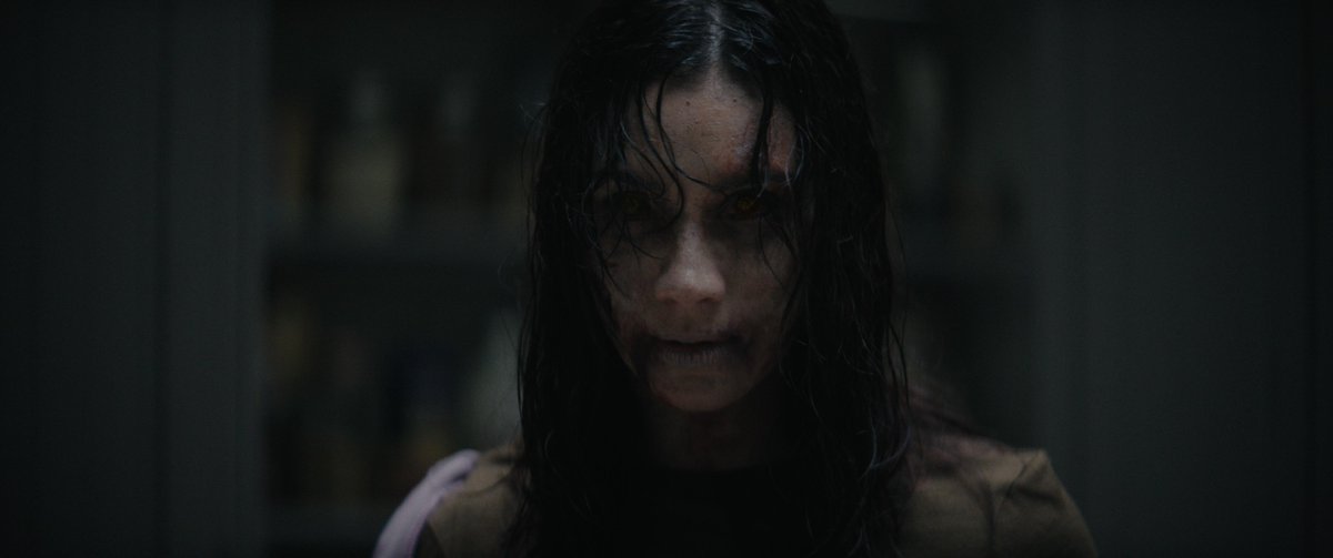 CinemaOfScreams's tweet photo. a little possessed, a lot obsessed 🩸 https://t.co/Ek20t1Uk8M