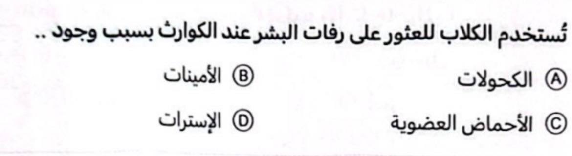 طلال🩺 tweet media