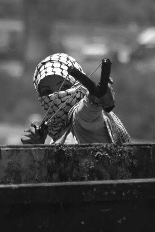 Dr. LilyFayed🇵🇸 tweet media