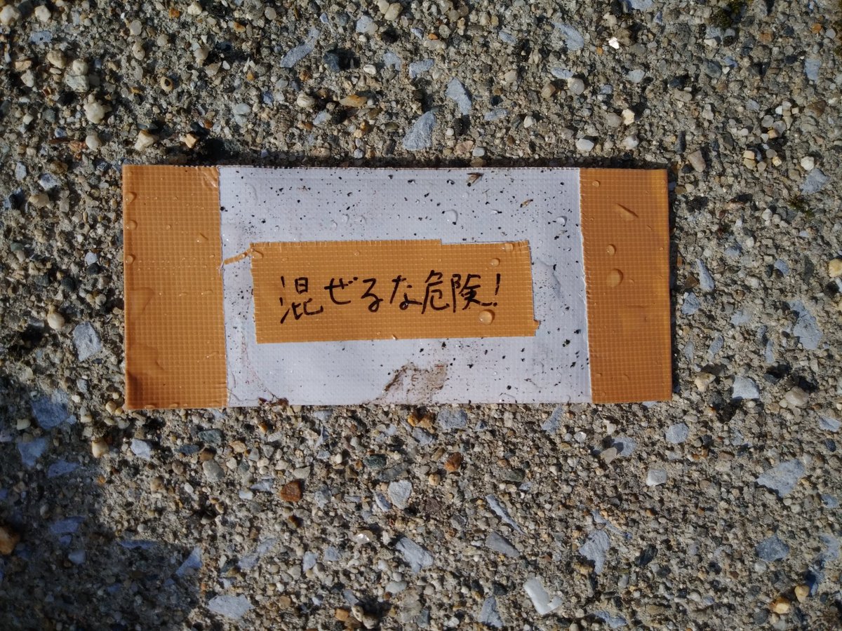 発見！せばーん！ #atgt2026Bow