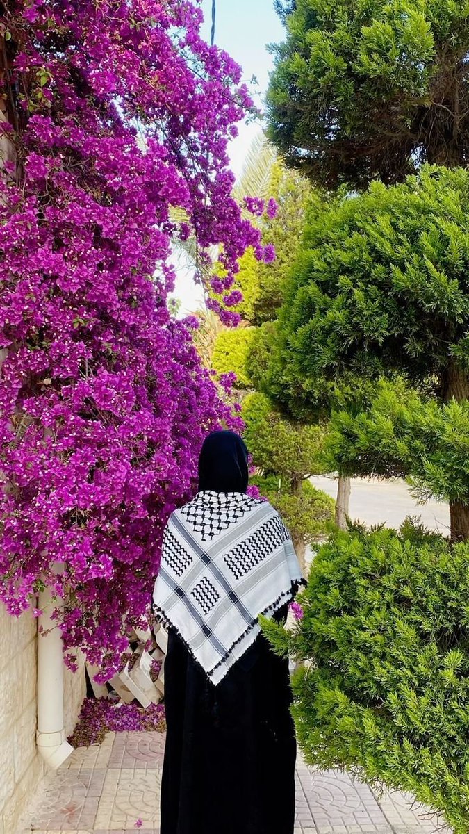 Dr. LilyFayed🇵🇸 tweet media