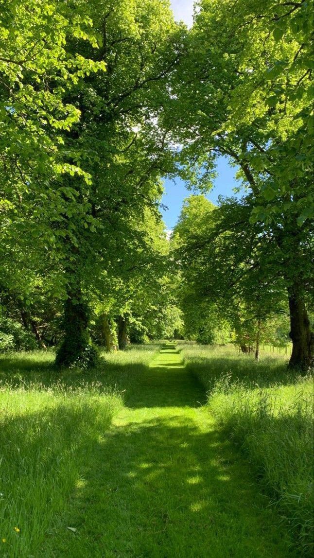 Nature🍃 (@solsticesoul9) on Twitter photo 
