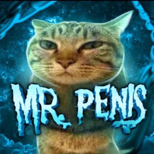 Cat Posted tweet media