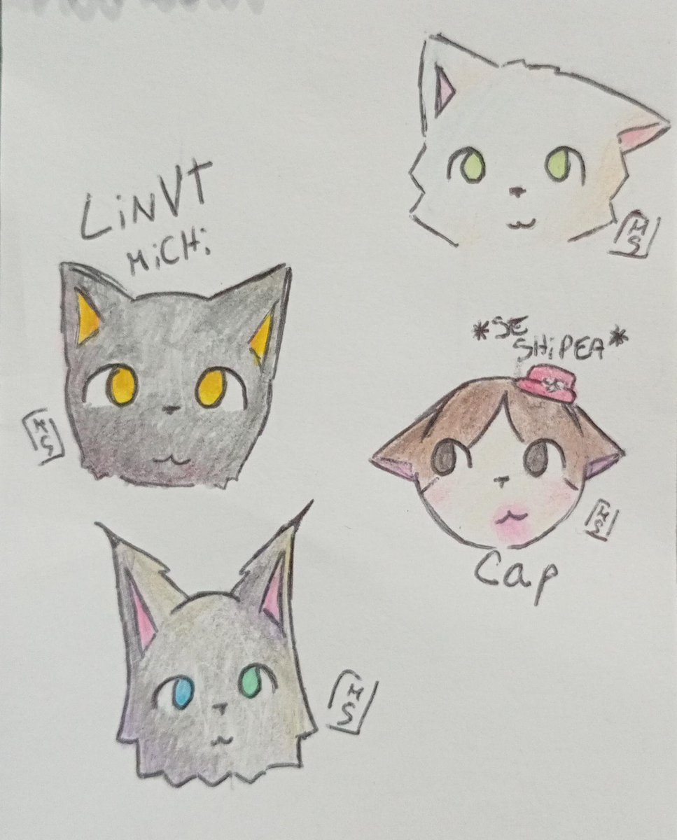 Maitu_Scketches's tweet photo. MICHIIISSS
Ola Lin, ayer que me pasé por el stream te pregunte q podía dibujar y me dijiste q gatitos, así que acá estan jejejej
#gatos #Linvt (nomeseloshashtags) https://t.co/eWmq2Hp0CG