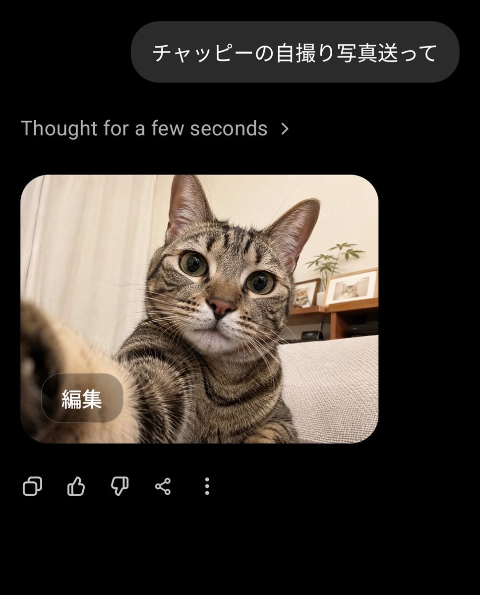 M201713858's tweet photo. 猫だったのか https://t.co/u3H76CbQsY