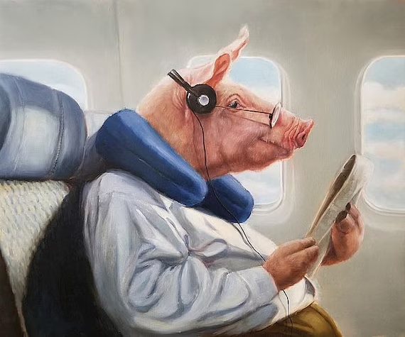 Pigbuscus's tweet photo. @monkeybuscus cant wait to se you, when pigs fly i guess ahaha #pigbuscus #piggytwt #oink https://t.co/e2fxKfWOvx