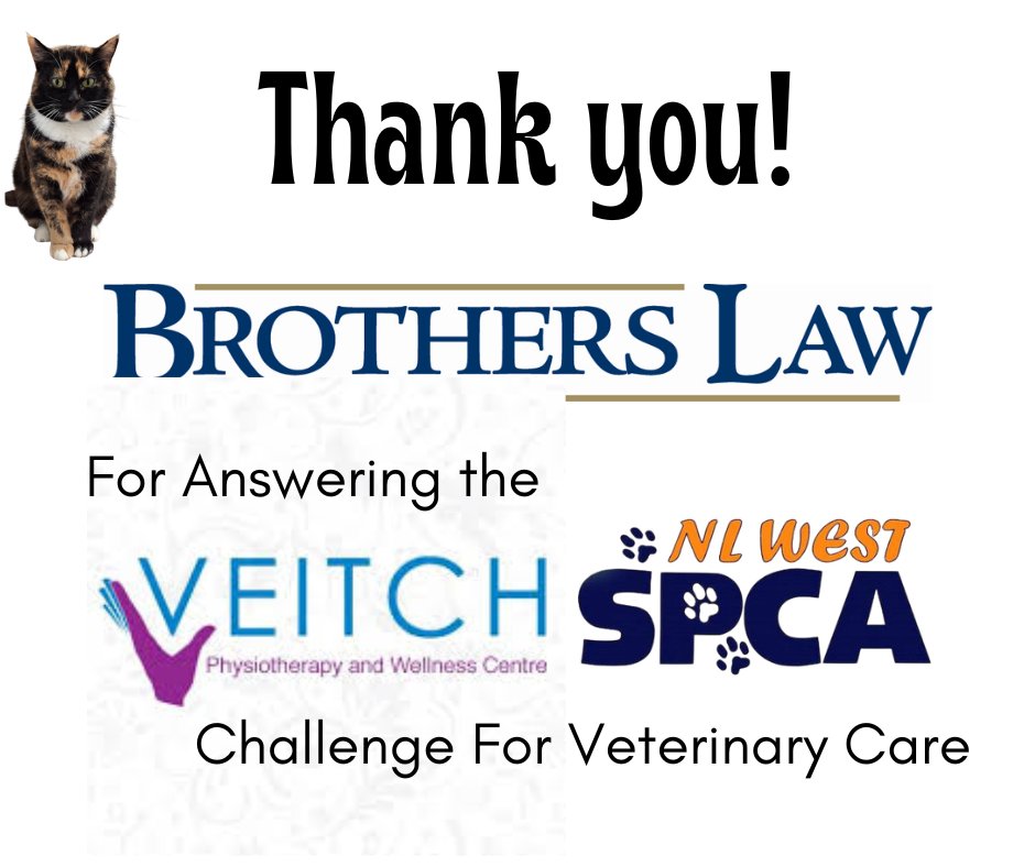 nlwestspca's tweet photo. Thank you Brothers Law for joining the Veitch Physiotherapy and Wellness Centre Business Challenge. We are at $2,000 of a $25,000 goal to cover approx. a quarter yearly vet bills.  25 more days to go. Join the challenge save furry lives and help them have happy endings.#westernnl https://t.co/lhzbwTPj8y
