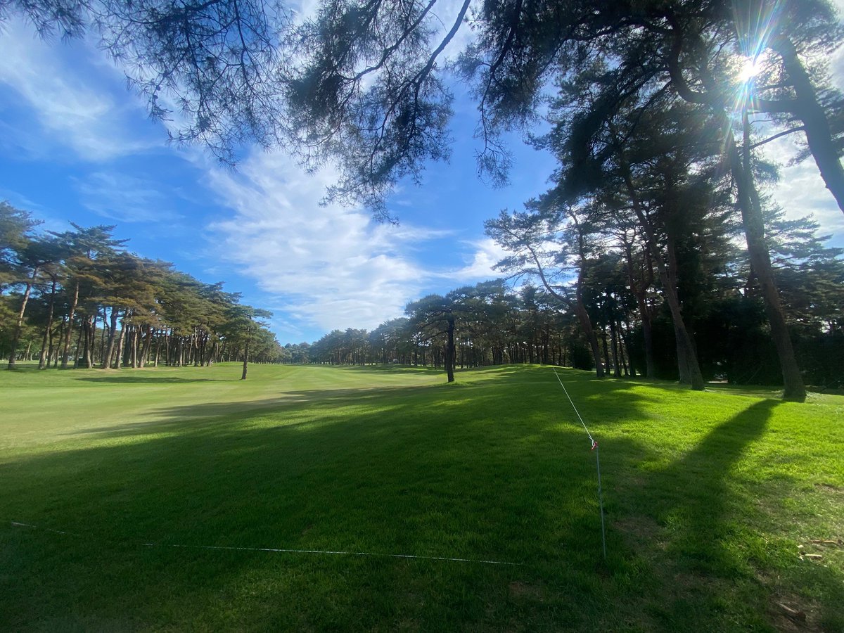 golf_ntv's tweet photo. ／
女子ゴルフ今季初の国内メジャー🏆
#ワールドレディスサロンパスカップ 決勝ラウンド⛳
予選通過66人中アンダーパーはわずか8人。第1組は9時25分スタート。茨木ゴルフ倶楽部は快晴で微風。
初日のハイライトです。
https://t.co/efq7vJLC8S @YouTubeより 
＼ https://t.co/fuknxPDO4l