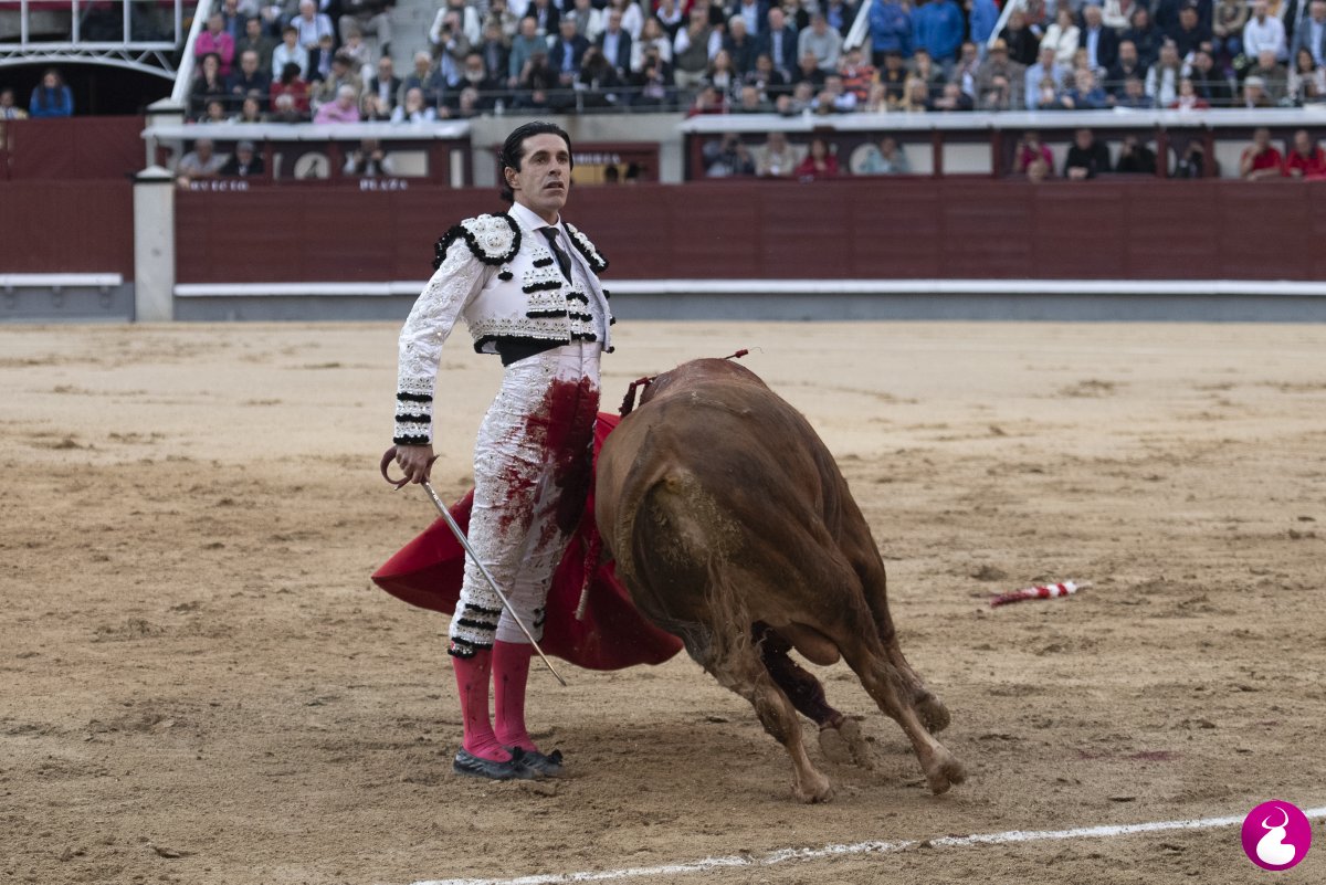 LSOlmedo's tweet photo. LAS VENTAS | 08/05/2026 | 1ª de la feria de San Isidro

Y Talavante, de comunión…

🖊️La crónica de @Mahierro en @cultorocom 

https://t.co/QaMuIYrKlv https://t.co/uccoZBHyzW