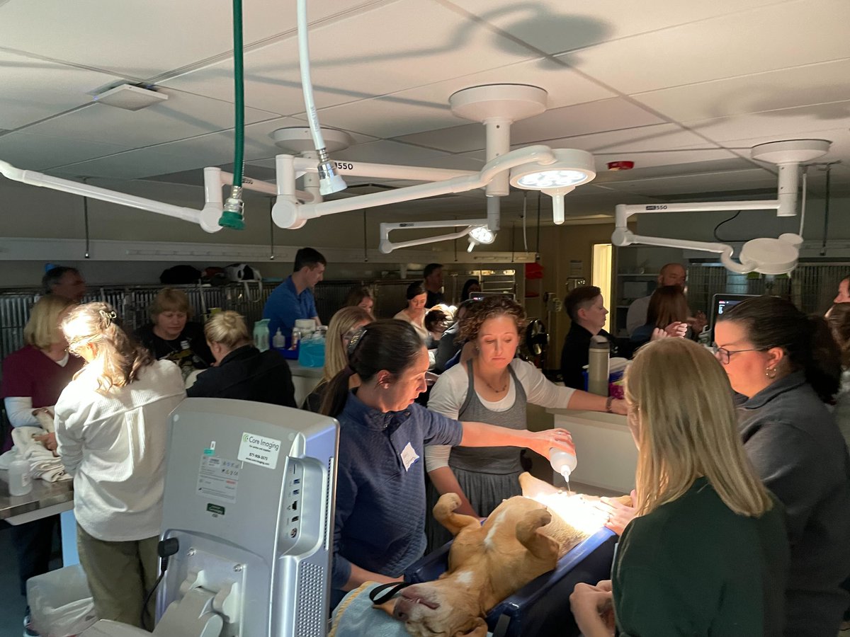 IVMA1's tweet photo. Today, IVMA hosted a hands-on Ultrasound Wet Lab with Dr. Kyle Vititoe.

Thank you to MedVet for hosting and Core Imaging for supplying the ultrasound equipment.

Learn more about IVMA membership and CE opportunities:
https://t.co/53V5LMn3qN

#IVMA #VetMed #ContinuingEducation https://t.co/mtk8aUrspV
