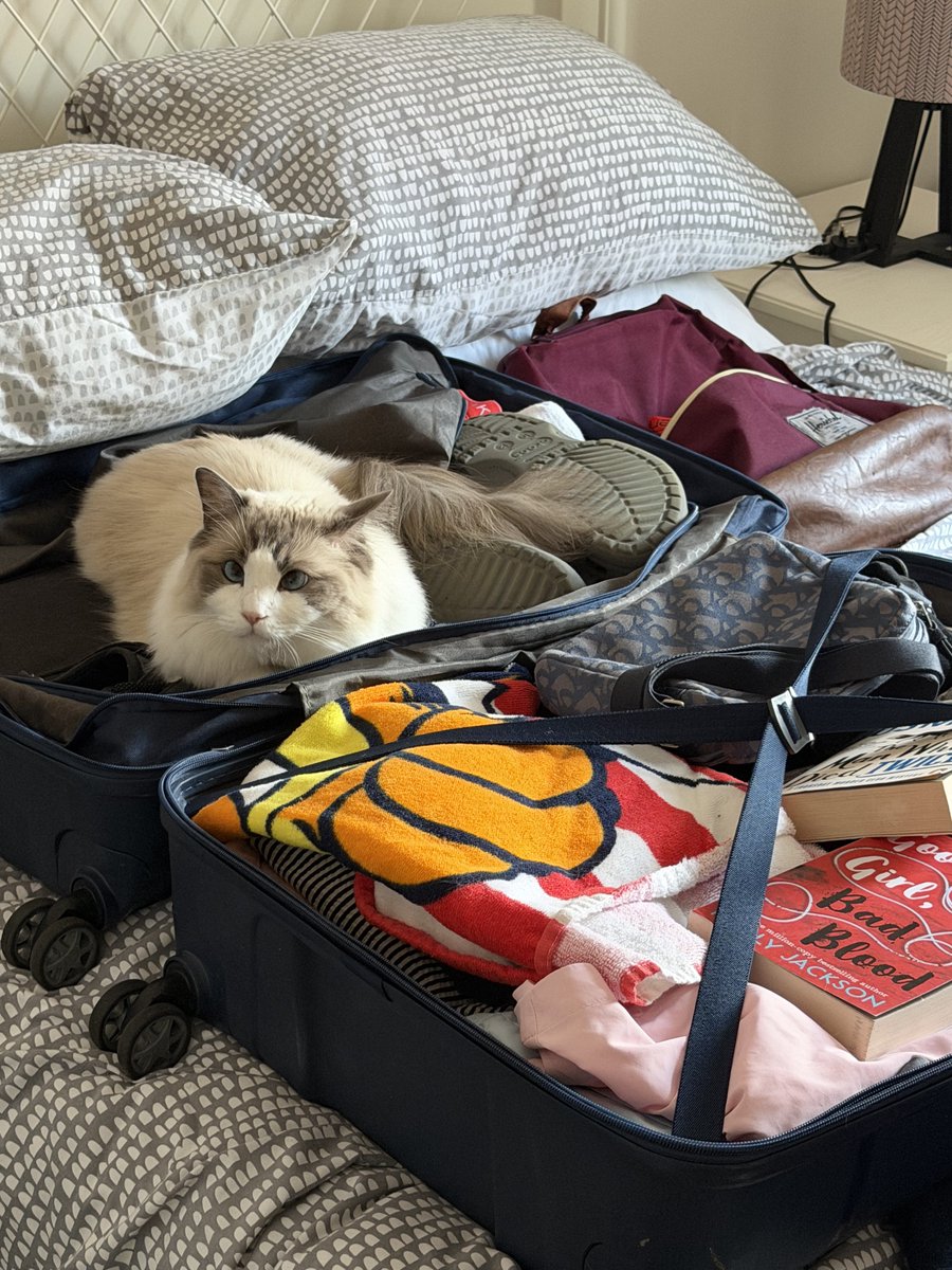 NichHarri's tweet photo. You can’t come with me… https://t.co/Jh3oUWNwO5