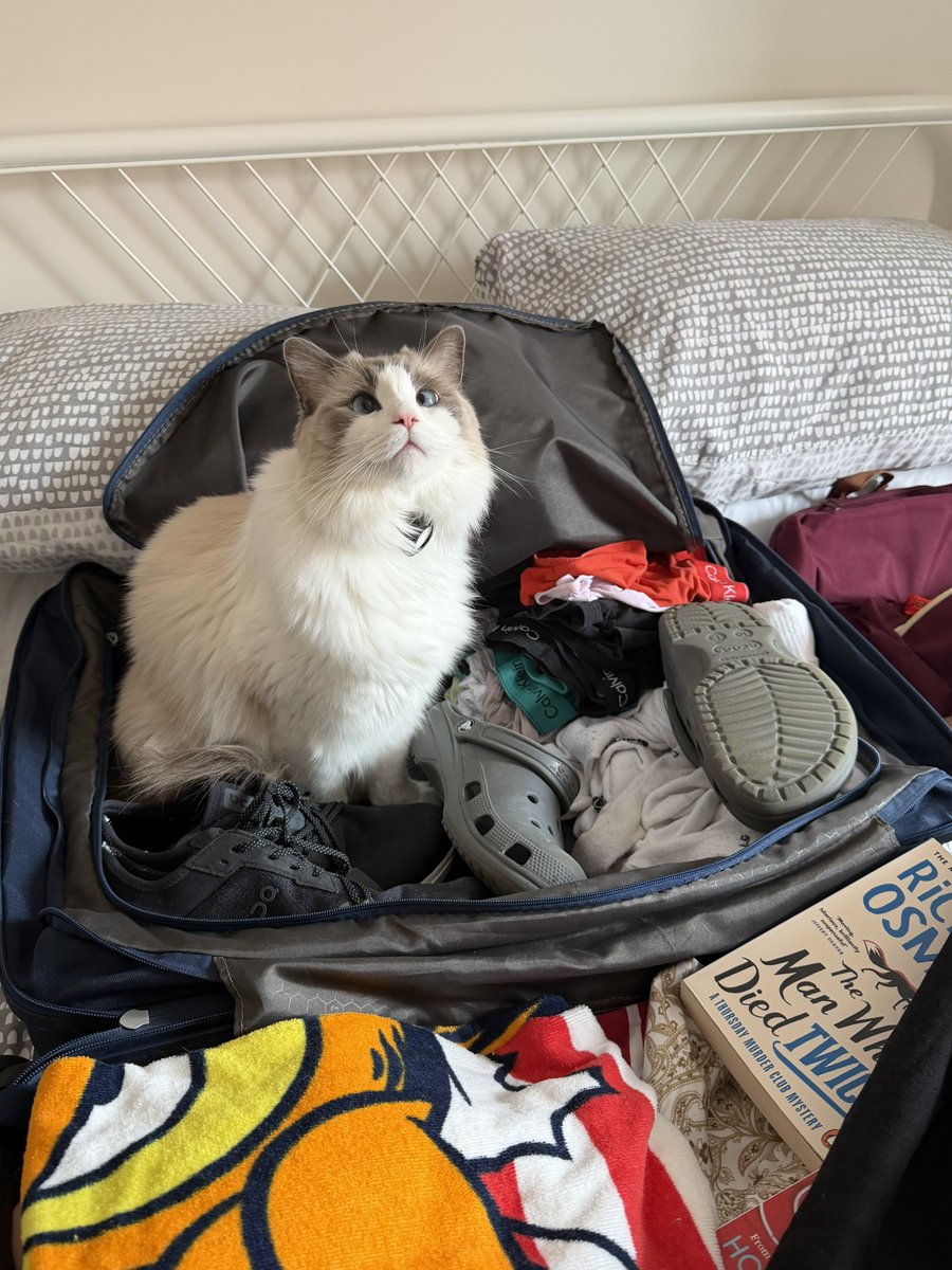 NichHarri's tweet photo. You can’t come with me… https://t.co/Jh3oUWNwO5