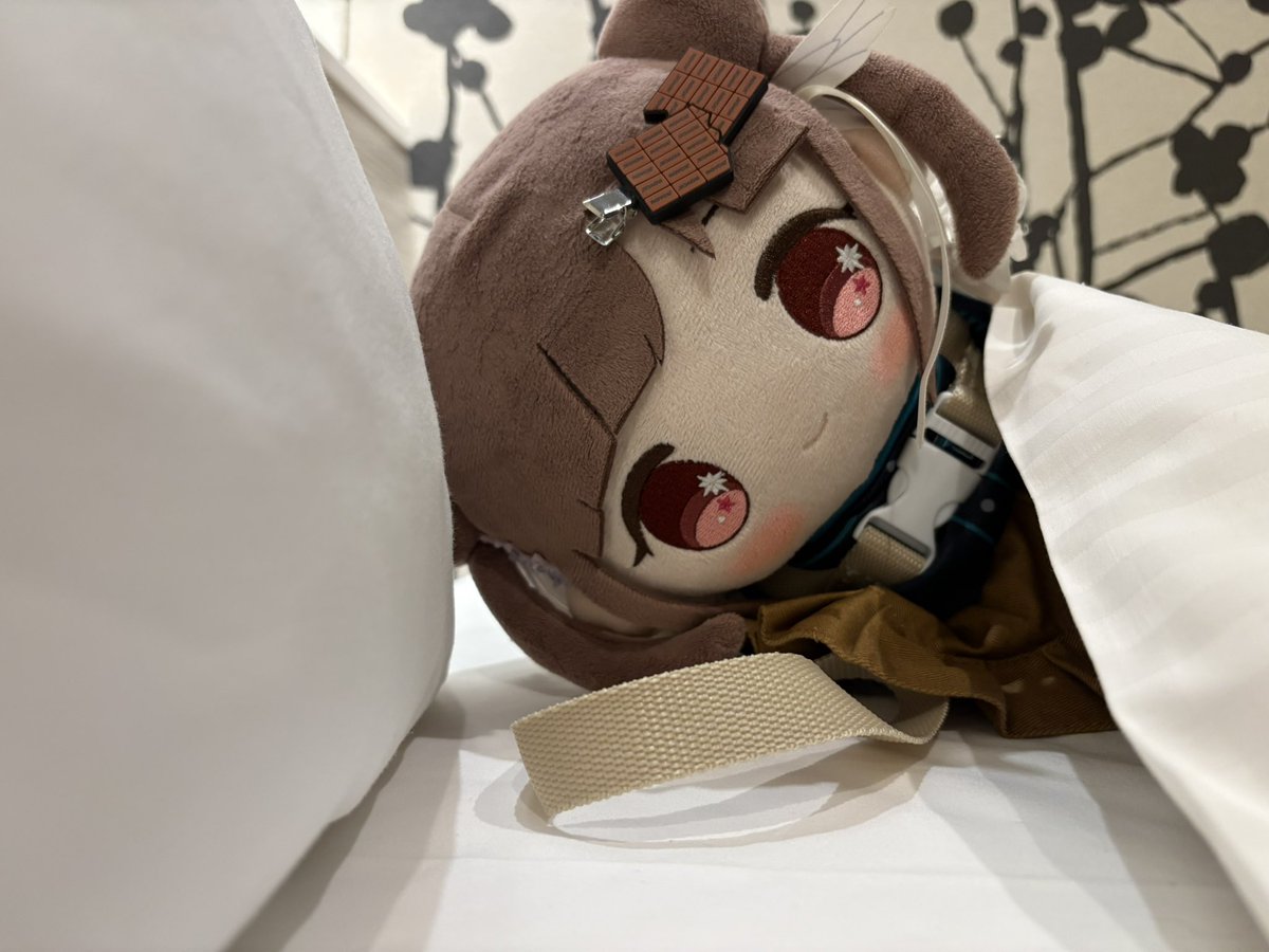 おもちと出先で迎える朝 ←理想 現実→