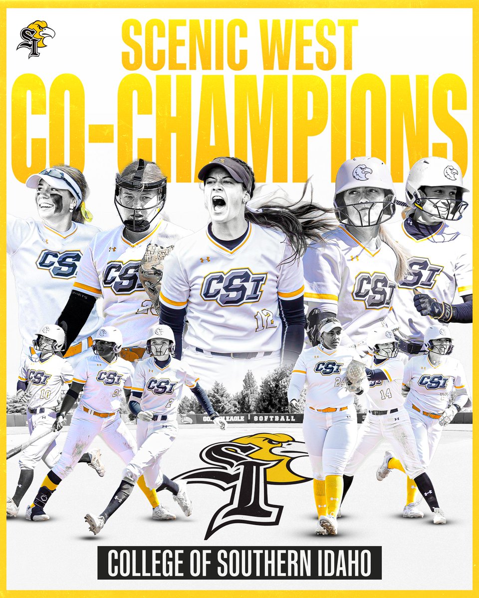 CSI Softball tweet media