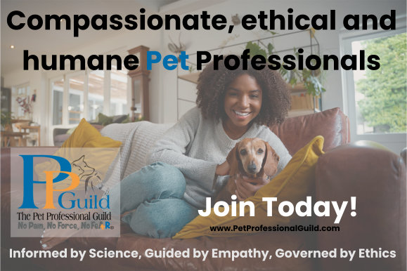 PetProfessionalGuild tweet media