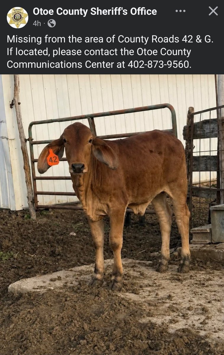 Southeast Nebraska Scanner tweet media