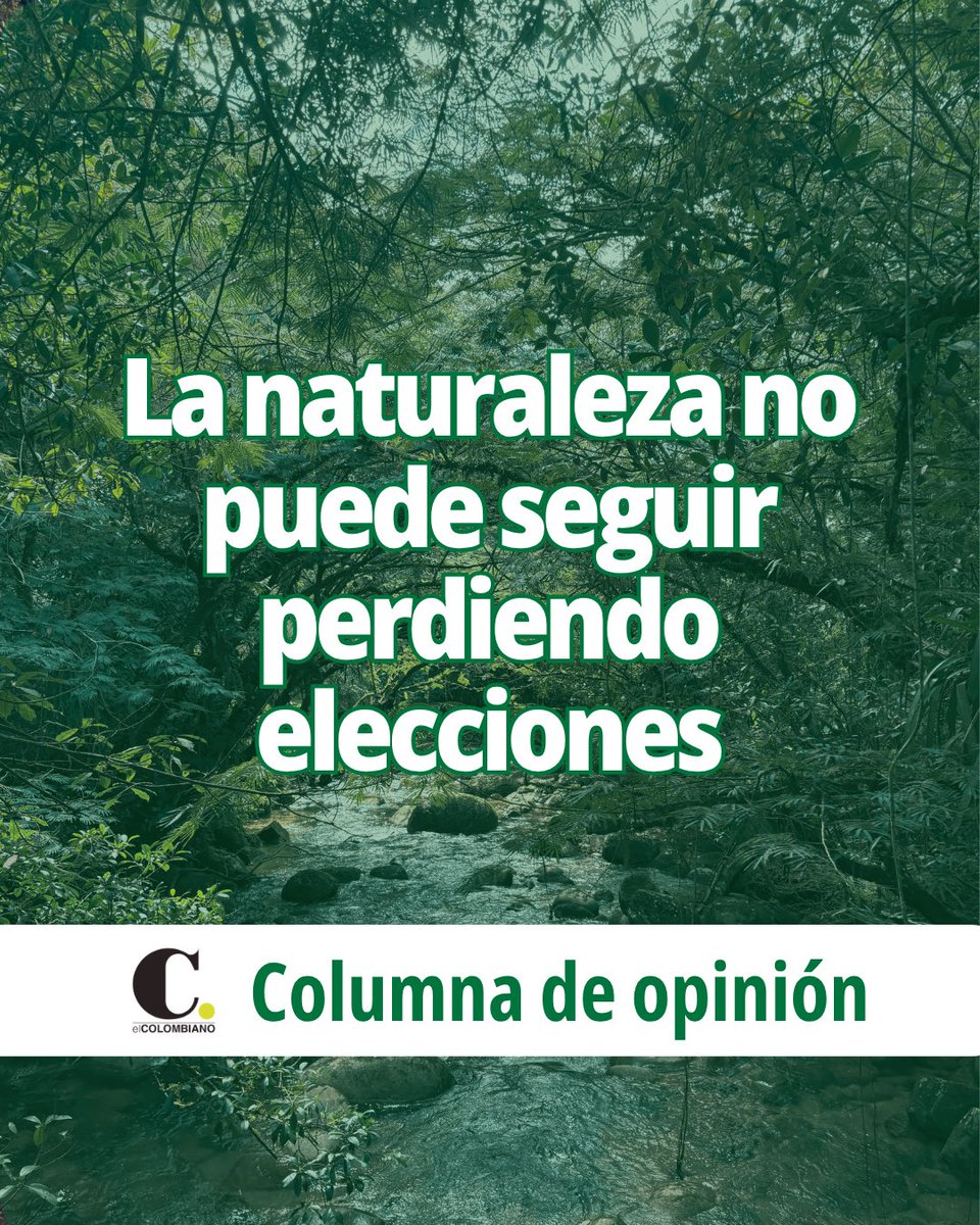Camilo Quintero Giraldo tweet media