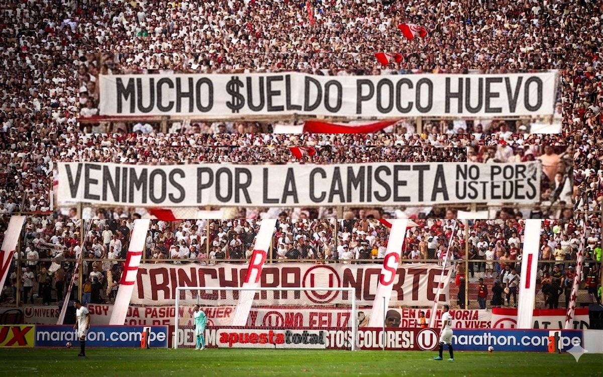 <a href="/Universitario/">Universitario</a>