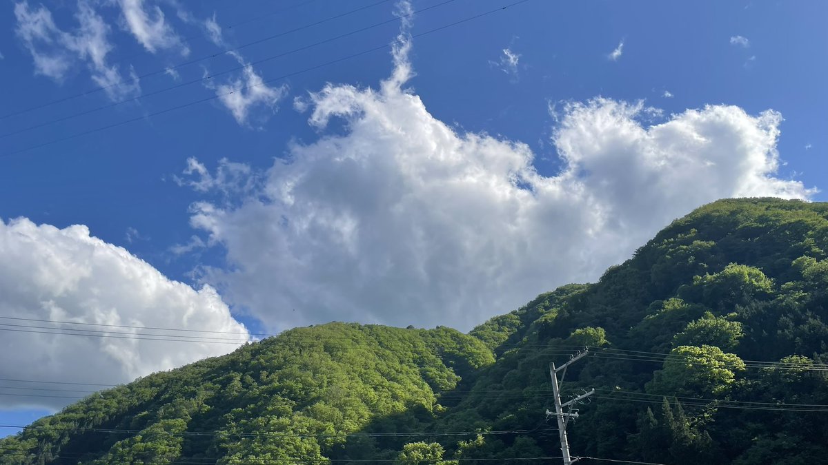 望月樹 tweet media