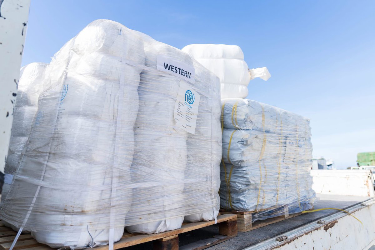 skantha679's tweet photo. This week, with the support of KOICA @IOMSolomons received NFIs for pre-positioning, to support ongoing response to the impacts of TC Maila affecting Choiseul and Western Provinces, and ensuring that immediate needs of affected populations are met 🇸🇧🇺🇳 https://t.co/3GIhH3CXb4