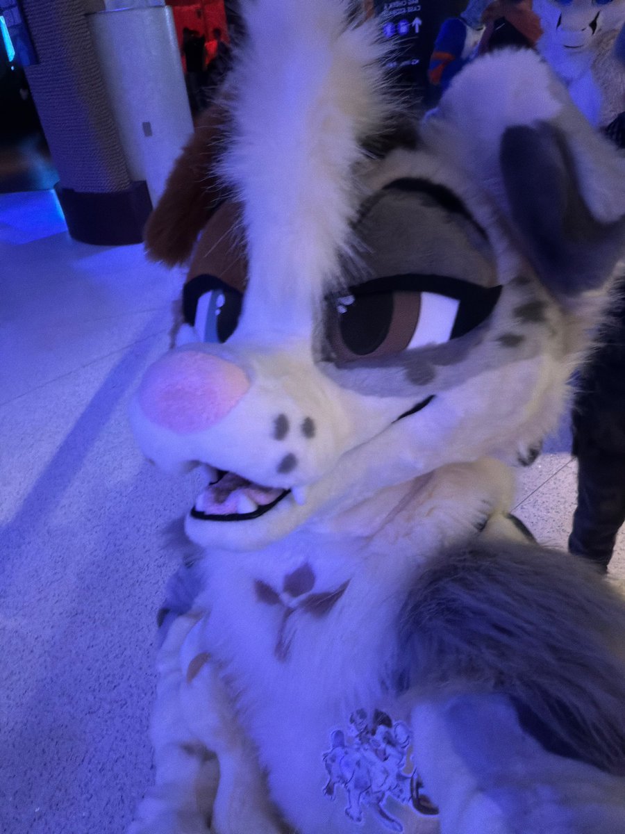 IM JUST A DOG tweet media