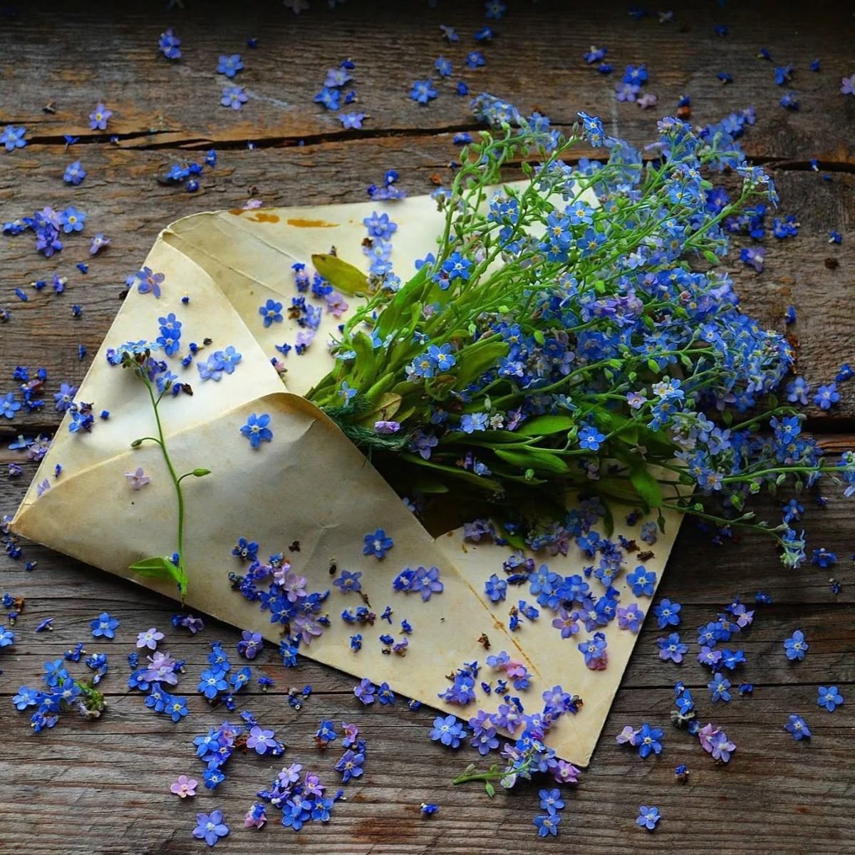 Blue. (@bluedreamvibes) on Twitter photo 