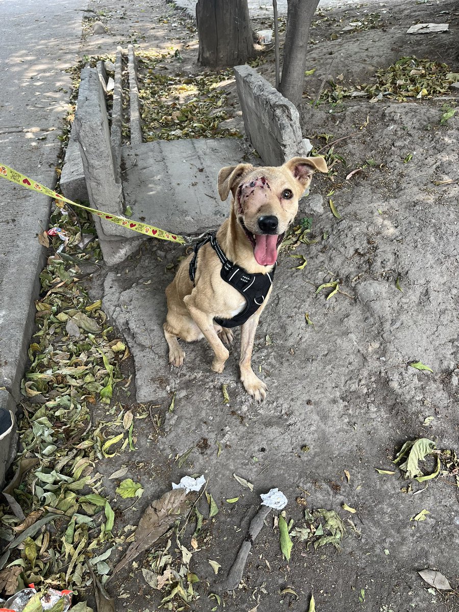 𝙷𝚎𝚕𝚊 𝙼𝚘𝚛𝚎 🐶 tweet media