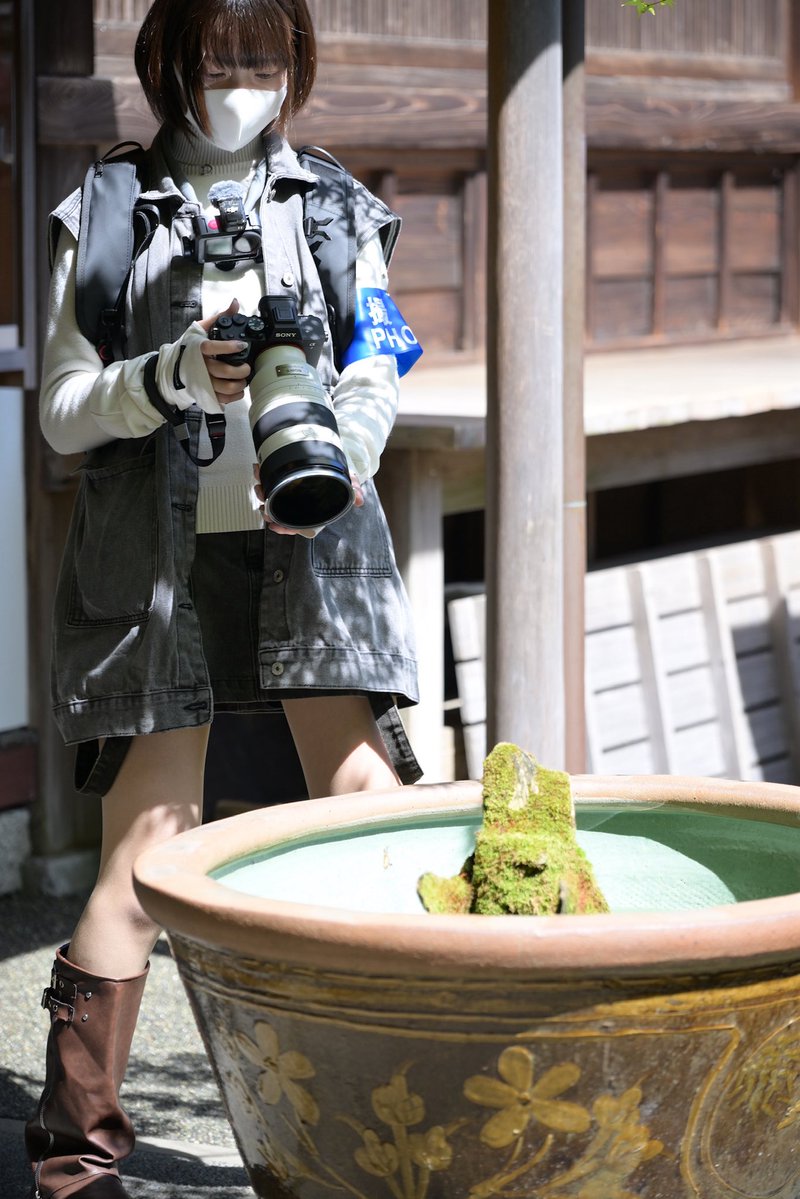 蒼井 ゆい｜写真家 tweet media