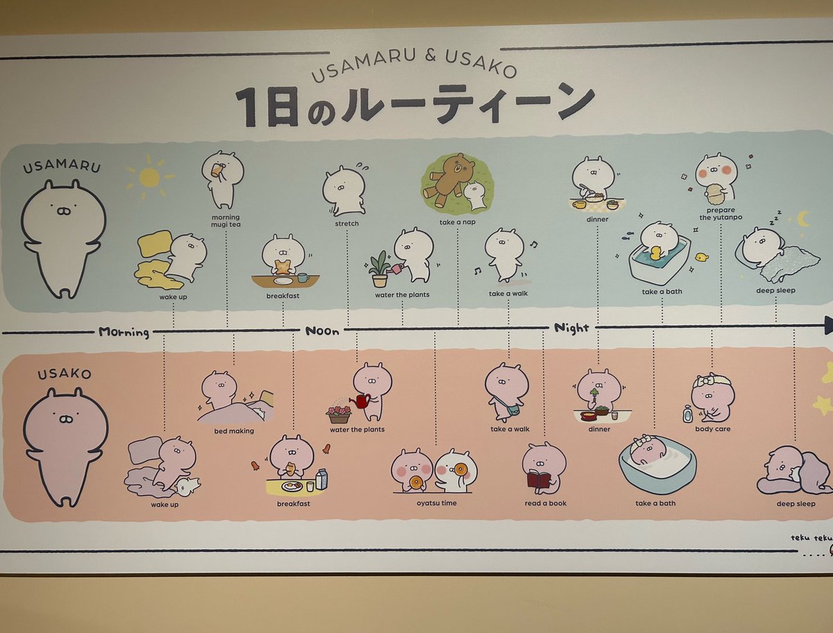 私のルーティーンも毎日これでいいですか